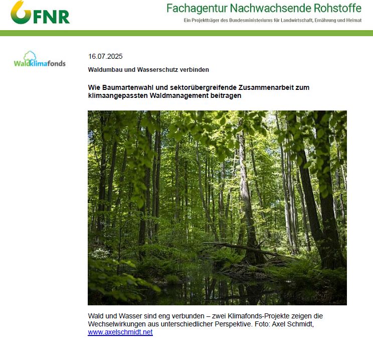 Waldumbau und Wasserschutz verbinden (externer Link FNR)